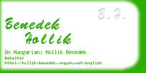 benedek hollik business card